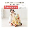 Edut Wheelbarrow, Full of Fingertip Gimmicks, Supports Walking, Designed To Prevent Falling, 1st Birthday, I'm Toy, Baby First Walker, Wheelbarrow,