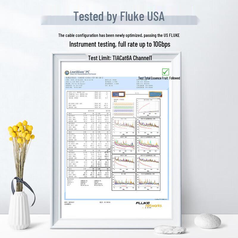 Shan Ze CAT6A 10 Gigabit Thin Ethernet Cable 10-Pack