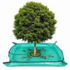Green Landscape Pruning Tarp 100 X 100 Cm Tree Trimming Tarp Garden Debris Tarp  Leaf Collection