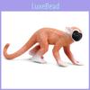 Saimiri Sciureus Monkey Miniature Plastic Zoo Animal Model For Children