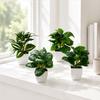 Fake Plant, Artificial Watermelon Leaf Potted Plants for Desk Realistic Faux Plant In Plastic Pot, Mini Desktop Decor for Bedroom Bathroom Office