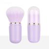 Telescopic Portable Capsule Makeup Brush - Blush Brush & Beauty Tool