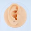 10pcs/lot Right Grand ASTM F136 Titanium Internal Threaded Labret Stud Body Piercing 3mm Ball Labret Monroe Lip Ring for Women