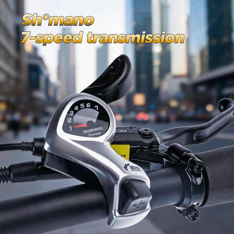 Skládací elektrické kolo PULUMA ebike-FF2.0.48 V 15AH, Dvouprvkové odpružení vidlice, 20*4.0 široké pneumatiky, Dojezd 80 km s asistencí, Městské elektrické kolo pro dojíždění