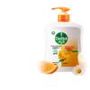 Dettol Natural Fresh Hand Wash