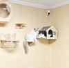 Wall-Mounted Solid Wood Cat Bed: An Aerial Retreat—Space-Saving, Stylish, and Practical