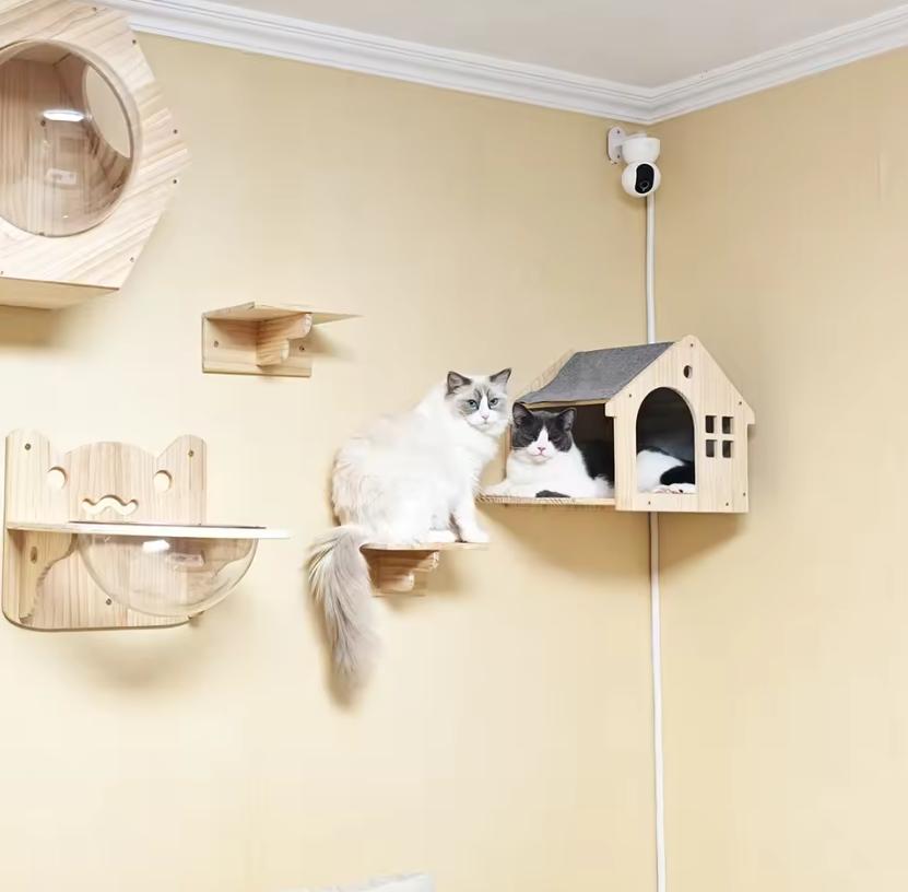 Wall-Mounted Solid Wood Cat Bed: An Aerial Retreat—Space-Saving, Stylish, and Practical