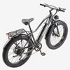 Bicicletta Elettrica Burchad Rx20 Motore di Picco 750W Ruote Grasse 26" Bicicletta Elettrica per Adulti Fuoristrada 48V 20Ah Freni a Doppio Disco 7 Velocità Display LCD