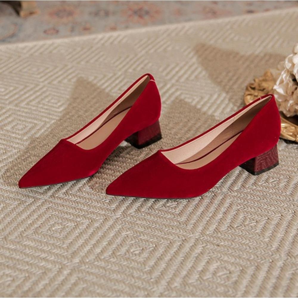 High Heels Women Spring Summer Thick Heel Pointed Professional Mid Heel Pumps New Shallow Commuter Work Shoes Comfortable