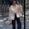 Spice Girl High Temperament Imitation Fur Environmentally Friendly Fluffy Short Coat Warm Loose Versatile Fashion New Winter Girl