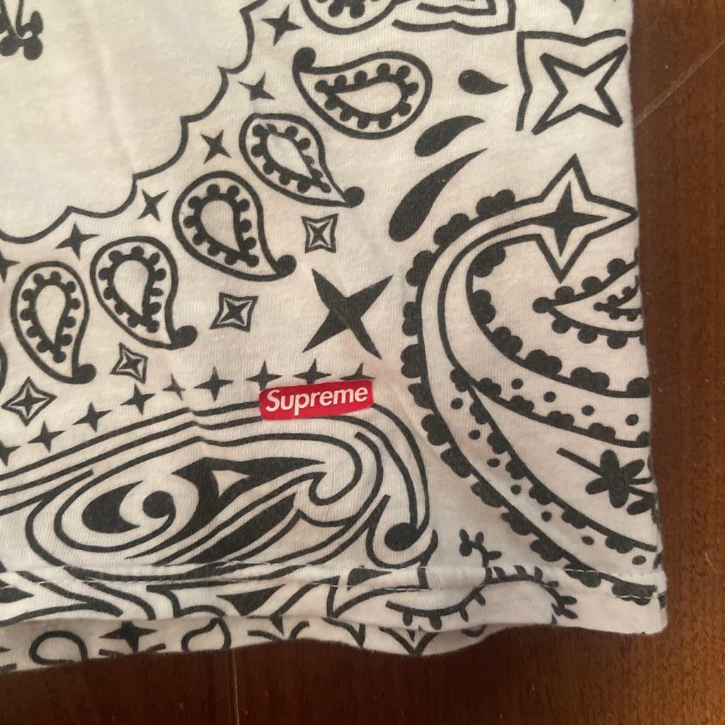 Used Supreme Hanes Bandana Print T-shirt Size L