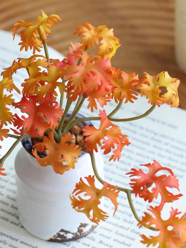 Miniature Succulent Bonsai Desk Ornament: Green Plant Props for Home or Office Decor