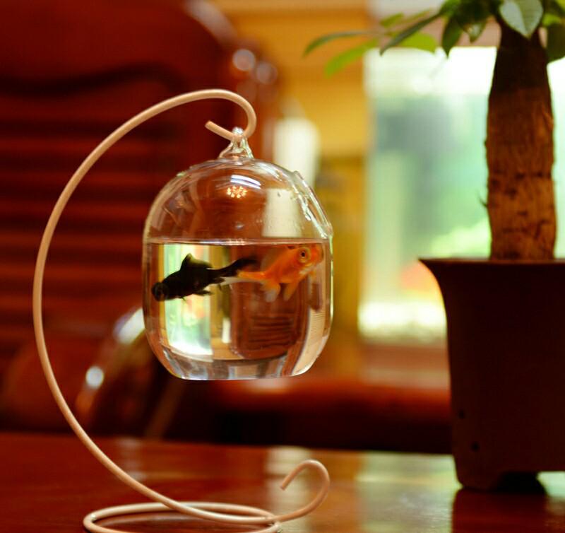 Kreatives Mikro-Landschafts-Kampffisch-Aquarium - Modisches Glas-Fischglas-Dekorationsobjekt für die Heimdekoration, Kleine Geschenke