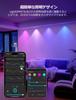 Lepro EE1 AI Illumination Lights, Outdoor LED String Lights, Spotlights, DIY Flowing Strip Lights, Permanent Installation, 30-Light, 15m, Smart RGB,