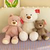 Orso Giocattolo Morbido Orso da Abbracciare Orsacchiotto Bambola Orso Bambola Cuscino Regalo