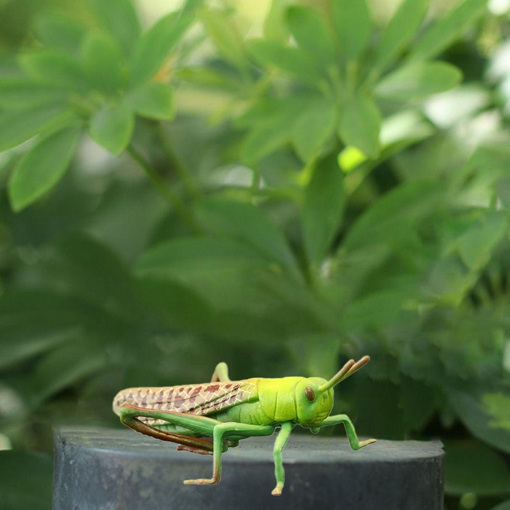 2Pcs Cartoon Locust Statue Vivid Animal Toys Creative Locust Animal Model  Garden