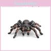 Jungle Forêt Tropicale Insecte Papillon Araignée Venimeuse Modèle PVC Ensemble Avec Diorama Animalier Réaliste Pour Amateurs de Nature
