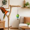 Bird Pecking Toy Parrot Foraging Ball Toy, Plastic Hollow with Bell, Play Cage Enrichment for Lovebird Budgie Cockatiel Conure