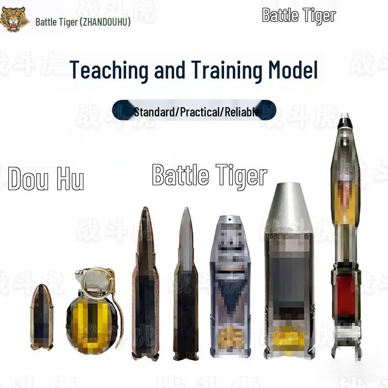 Zhandouhu Quarter Anatomical Teaching Model