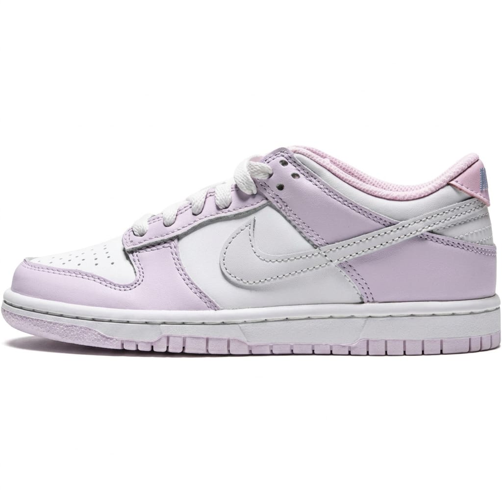 Nike Dunk Kids` Skateboarding Shoes Kids