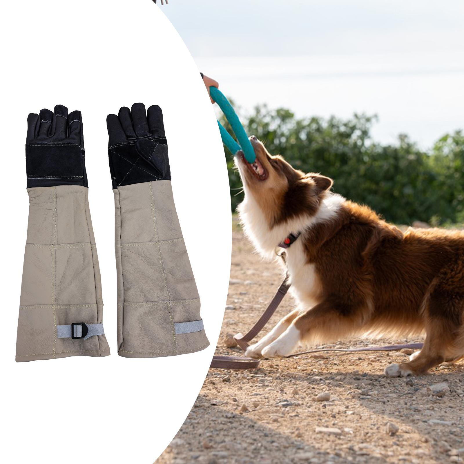 

Animal Handling Gloves Work Protect Waterproof Bite Resistant Pet Glove for Grooming Bird