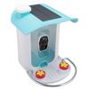 Smart Bird Feeder with Camera 1080P HD AI Identify Bird Species Supports Heat Detection Night