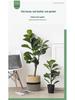 Large Cotton Rope Basket for Plants, Flowers, Laundry, and Storage