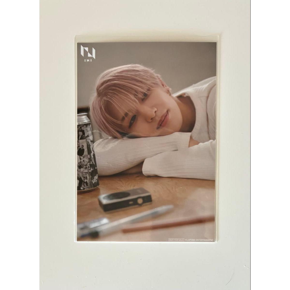 Used INI PULSE Daimu Takatsuka Seven Net L size bromide