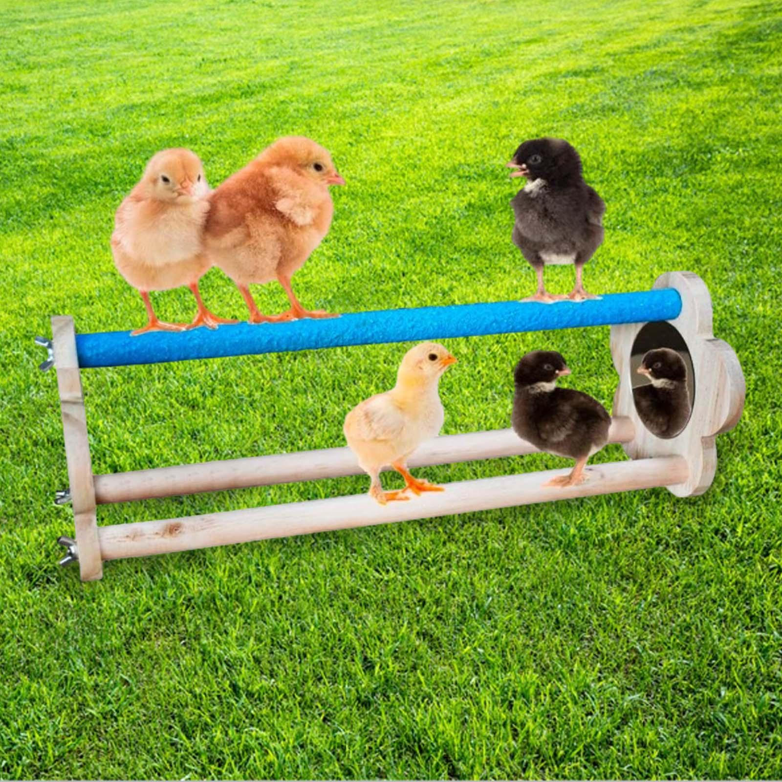 

Окунь для цыплят с зеркалом, деревянная подставка, тренировочные качели, игрушки, барная лестница, курица