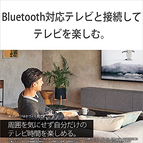 Sony Wireless Neckband Speaker SRS-NB10: Wireless Neckband Speaker with Two High-performance Microphones for Teleworking, IPX4 Water Resistance, Hands