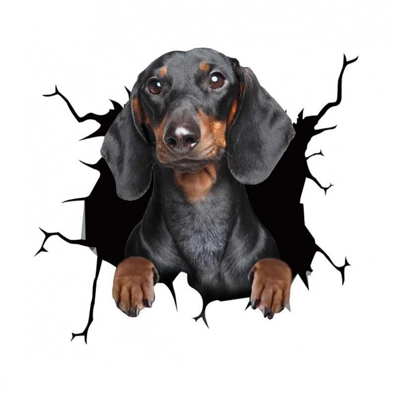 Sticker Creativ Design Crăpătură Animal de Companie pentru Perete și Mașină - Autocolant Personalizat Câine din Sticlă