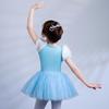 Cinderella Princess Ballet Costume - Girls' Fairy Tale Leotard with Tulle Skirt