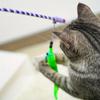 Caterpillar Style Colorful Long Rod Cat Teaser Stick, Cat Entertainment Interactive Toy