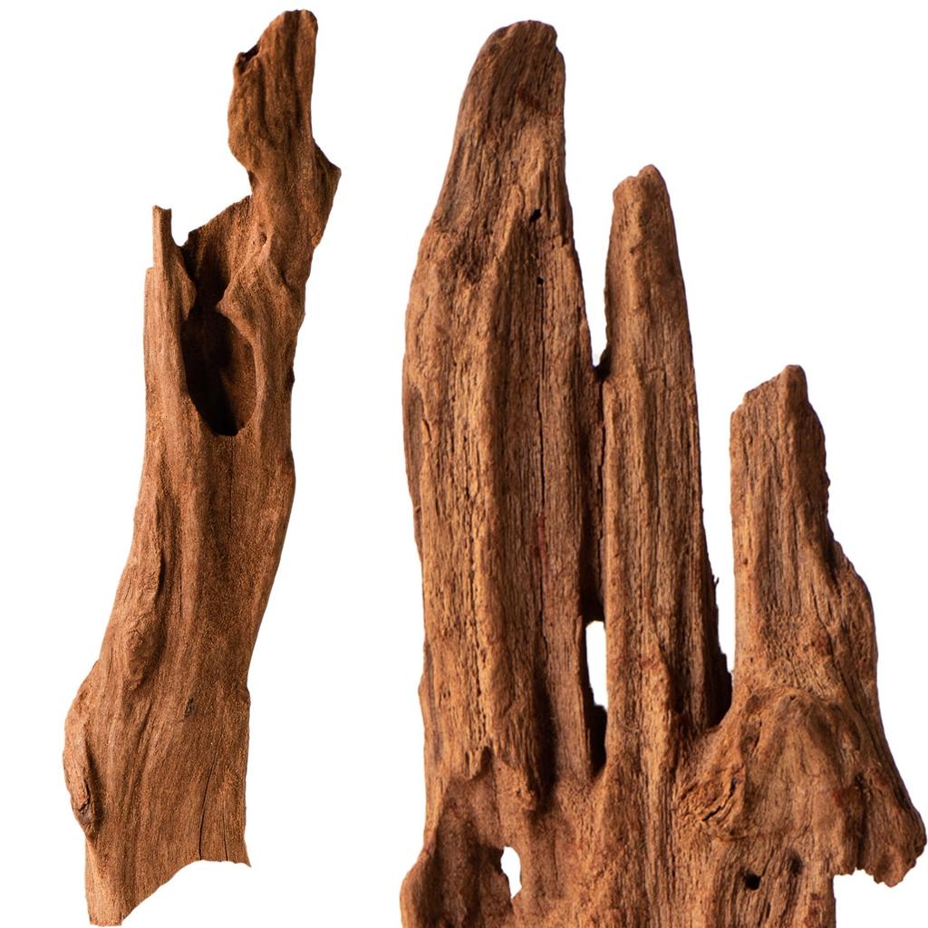 Driftwood Root Natural Xxs 10Cm Freshwater Plant Aquarium