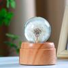 Drehendes Löwenzahn-Nachtlicht-Ornament - Trendiges Harzspielzeug für Schreibtisch oder Wohnzimmer, Perfektes Geburtstagsgeschenk