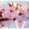 BIOAQUA - Sakura Fragrance Moisturising Lip Balm