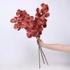 Plastic Phalaenopsis Branch Moisturizing Real Touch Orchids Simulation Flower  Office Decor