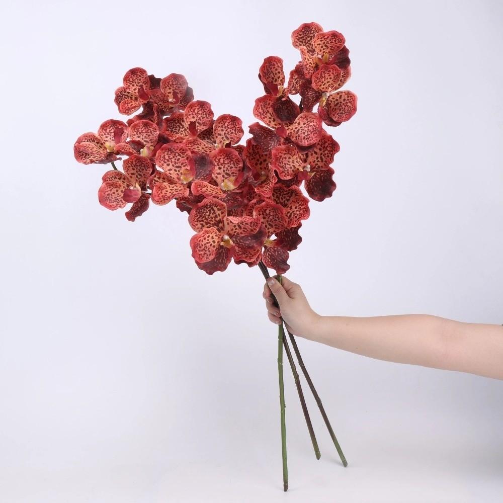 Plastic Phalaenopsis Branch Moisturizing Real Touch Orchids Simulation Flower  Office Decor
