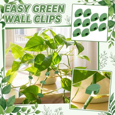Attaches pour plantes, Attaches de fixation pour lianes Pothos, Attaches de croissance pour plantes, Attaches de jardin, Attaches de fixation pour mur d'escalade pour plantes