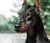 Verstellbarer Hundebeißkorb Anti-Beiß-Hunde-Maulschutz mit Reflexstreifen Kann Wasser trinken Atmungsaktiver Kunststoff