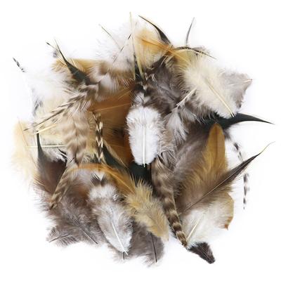 50 Pcs Natural Pheasant Rooster Feathers for Crafts 4-6inch Diy Handwork Fly Tying Hook Material Clothing Party Accessories