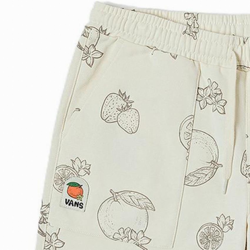 Vans Casual Shorts Women's Vintage White Patterned Print Moderate VN0008Y0BTA