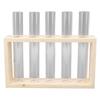 5 Test Tube Plant Terrarium Transparent Observe Growth Status Water Plant Holder with Wooden Stand for Herbs