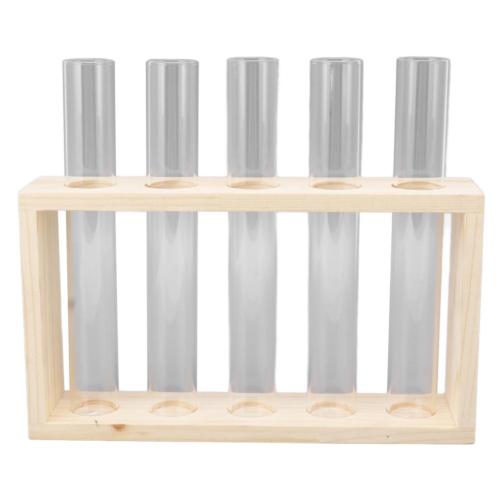 5 Test Tube Plant Terrarium Transparent Observe Growth Status Water Plant Holder with Wooden Stand for Herbs