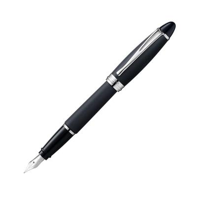 AURORA Fountain Pen EF Extra Fine Point Epsilon Regular Imported Product B10-NE Satin/Black Dual-use
