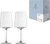 Zwiesel Glasses (m122429) Break-Resistant Vivid Sense Wine Glasses for Red and White Wines, Flavor & Spice Design, Pair of 2, Machine-Made