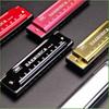 Mondharmonica Toonsoort C 10 Gaten Diatonische Mondharmonica C met Koffer voor Beginnende Studenten Kinderen Cadeau met Koffer