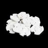 10pcs