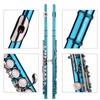 Closed Hole C Flute 16 Keys Cupronickel Nickel-plated Wind Instrument with Carry Case Flute Stand Gloves Cleaning Cloth Mini Screwdriver Cleaning Rod