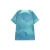 Nike Soccer Jerseys Men's Rising Emerald Green Moderate FB6577-349
